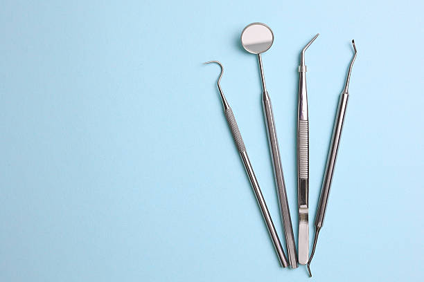 Top rated local Dental specialists in Bellview, FL